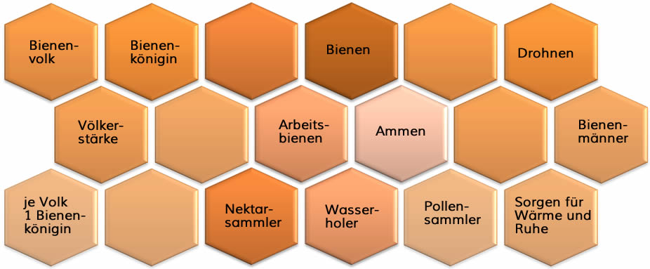 Bienenkunde, Bienenwaben