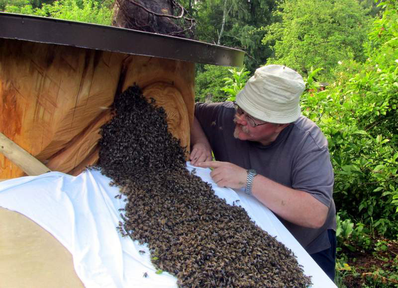 Zu Fuß ins neue Heim ...
