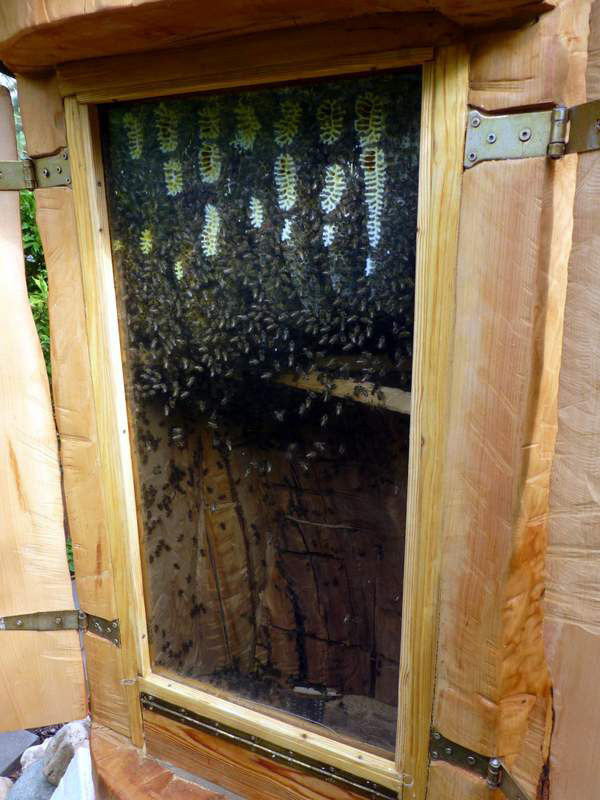 Klotzbeute von Innen