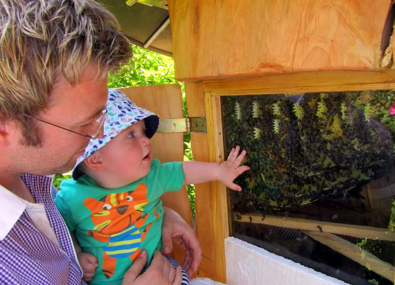 Das große krabbeln ...