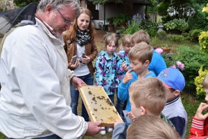 Im Imker-Garten Radig in Pößneck